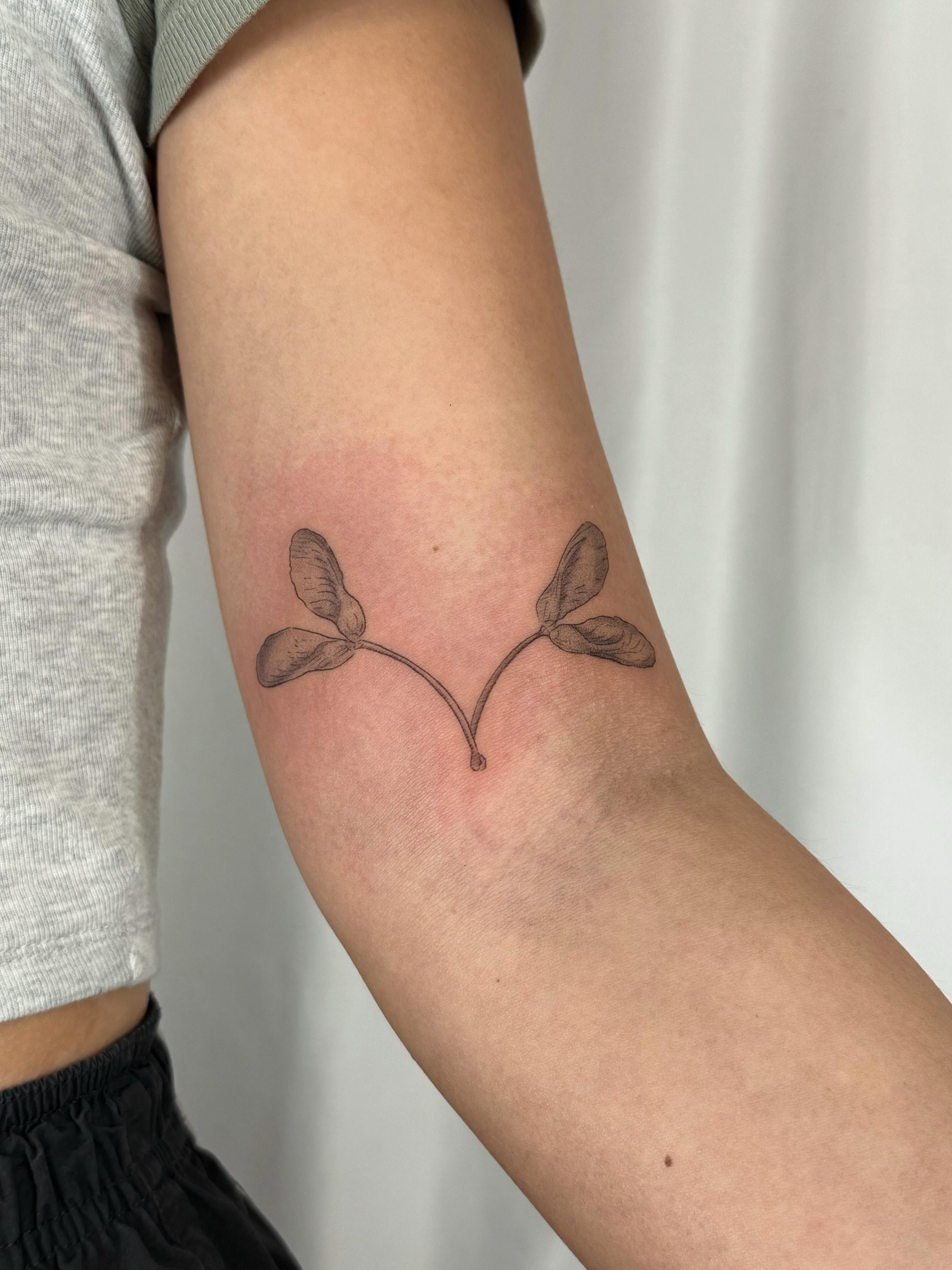 Estúdio tatuagens Lisboa
